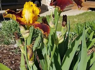 2116 SW 35th Pl, Redmond, OR 97756