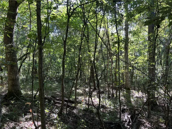 Crumpler Cemetery Dr, Harrison, AR 72601