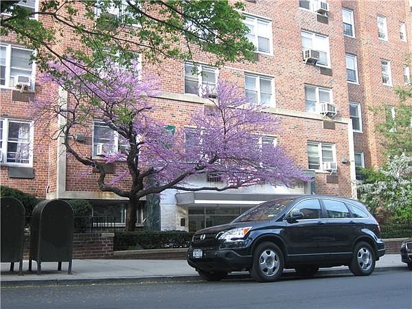 1st image of 6565 Wetherole St APT 5S