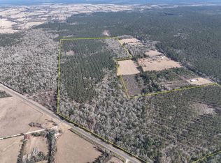 Highway 287, Groveton, TX 75845
