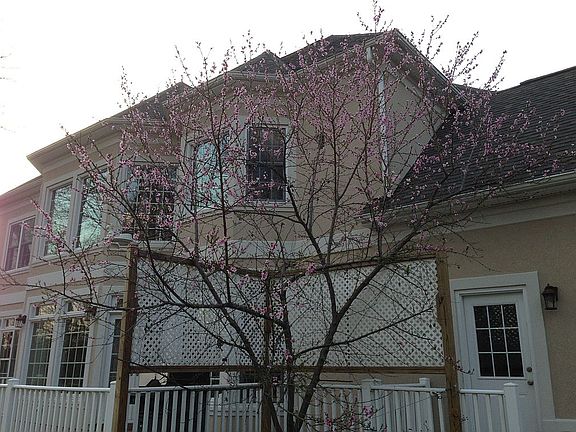 2nd image of 174 Steeplechase Dr