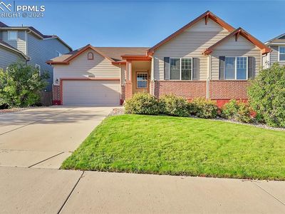 3447 Dove Valley Pl, Castle Rock, CO, 80108