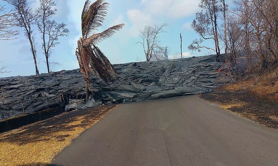 1st image of 13-556 Hinalo St