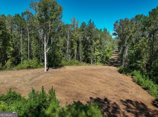 V/l Buck Run Rd, Talbotton, GA 31827