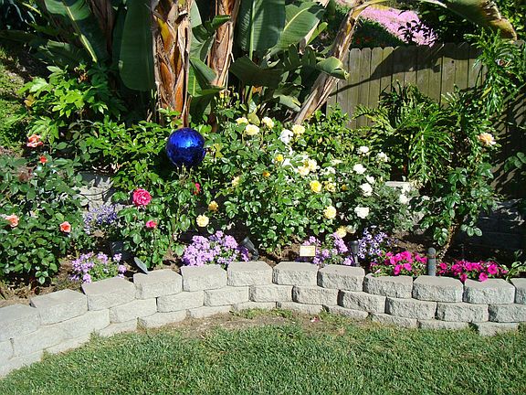 My garden