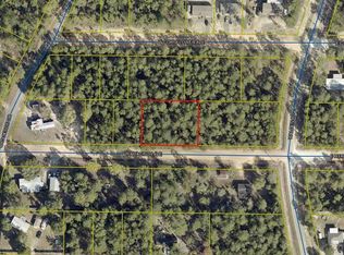 W Hyacinth Ave LOT 13, Defuniak Springs, FL 32433