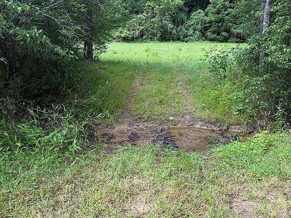 3rd image of 10 Parker Padgett Rd