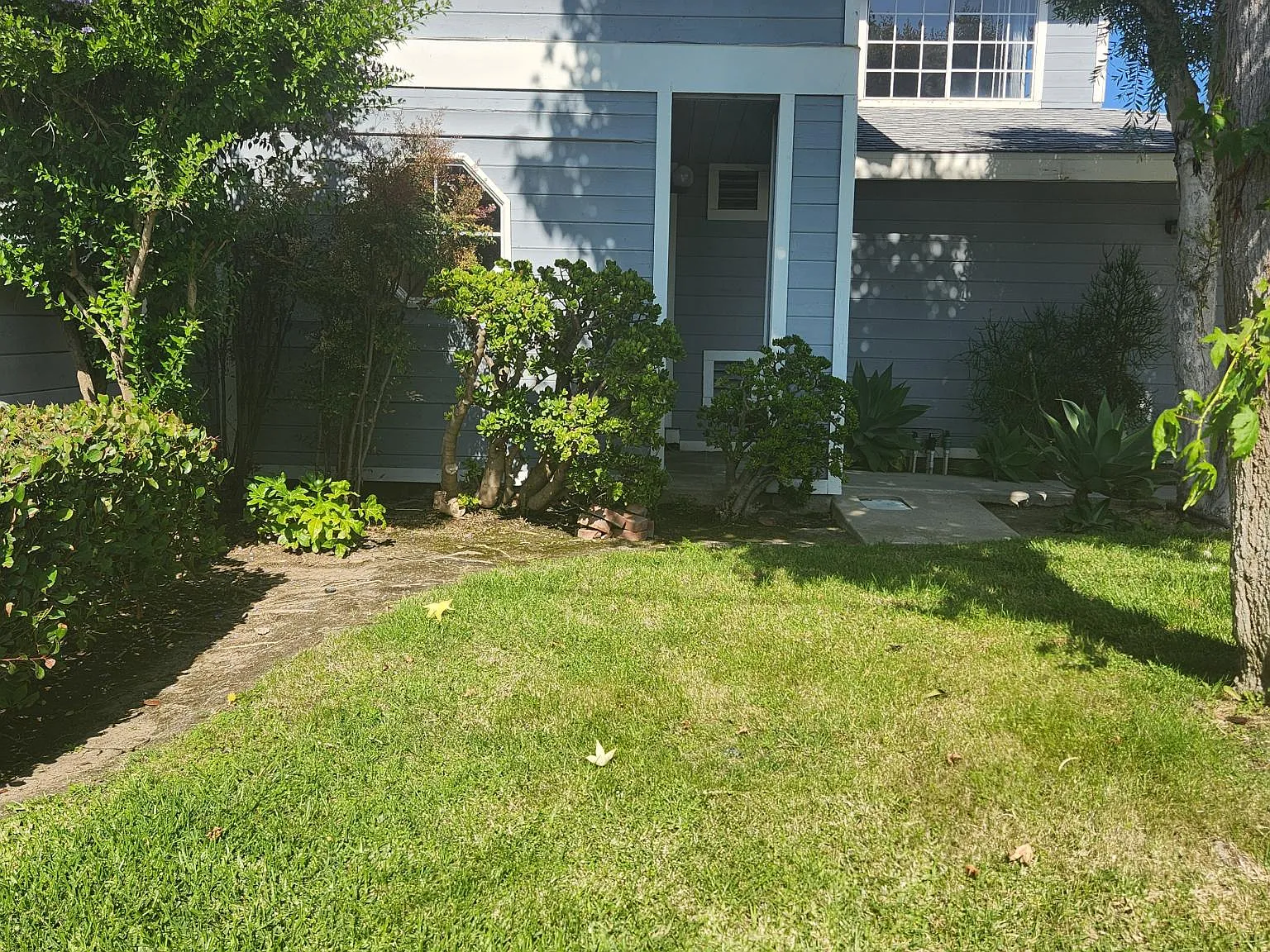 4 bed, 2.5 bath, 1600 sqft, $4,995 — Photo 4