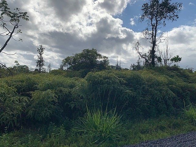 1st image of 6th Avenue Hialoa Lot 2236