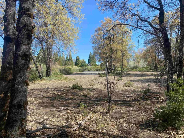 PARCEL 30 Everitt Memorial Hwy, Mount Shasta, CA 96067