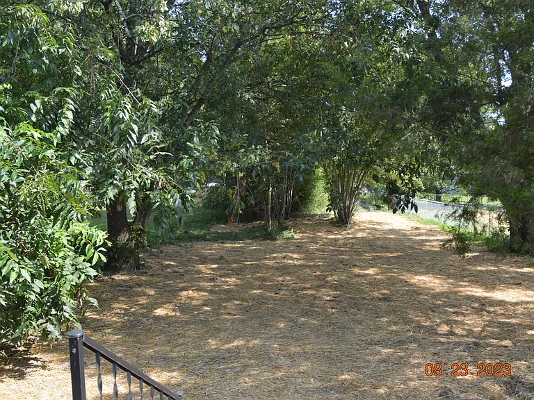 412 E Hogan St — Photo 3