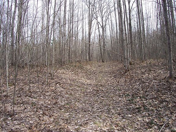 4th image of Allard Acres Trl