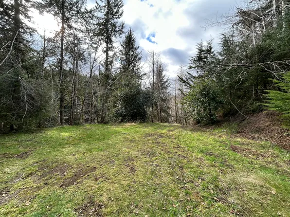Tl 201 Little Nestucca River Hwy, Cloverdale, OR 97112