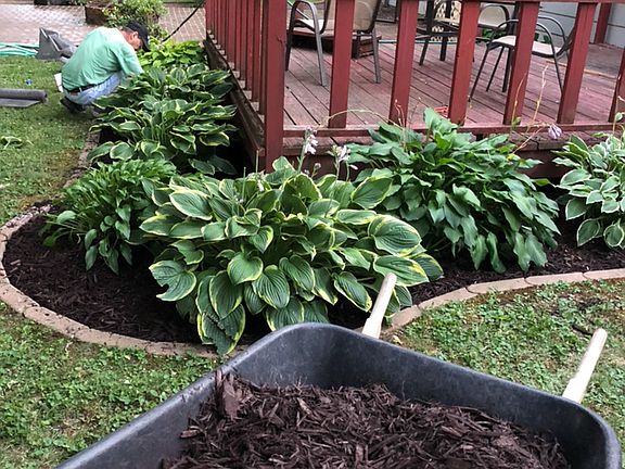 Landscaping around the deck