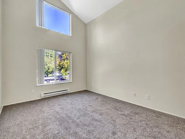 Hampton Park Apartments — Photo 9