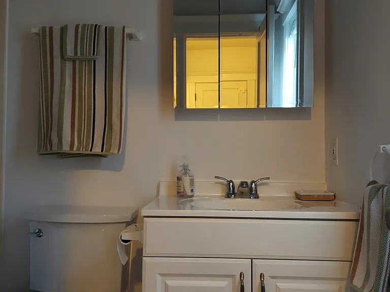 15 Marie Ave #3A — Photo 17