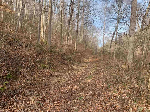 0 Pear Ln, Louisa, KY 41230