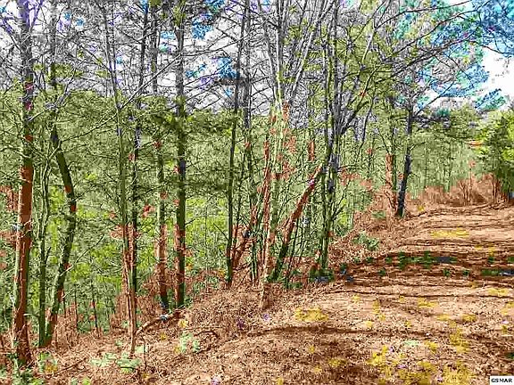 5th image of 2 Oldham Springs Way Lot 2