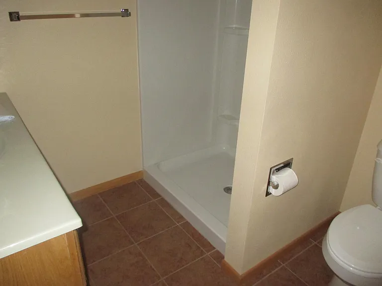 Basement shower