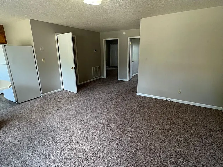208 Ivie Ln — Photo 4