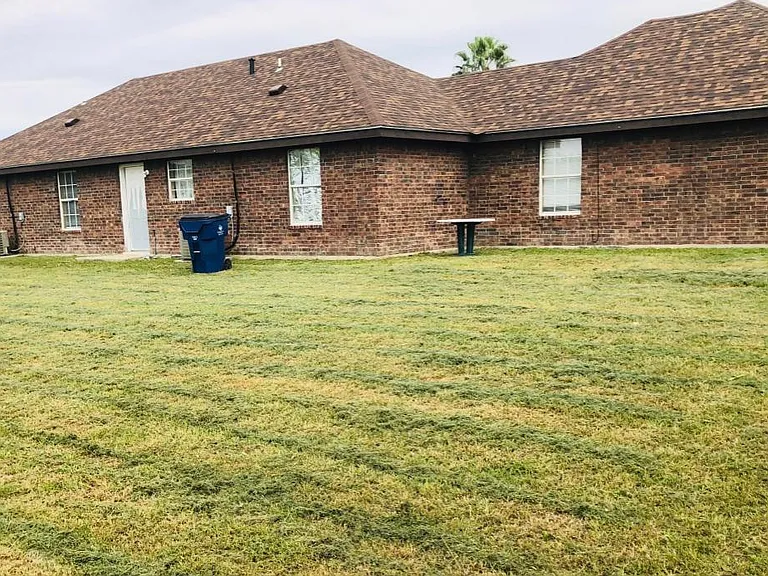 Back yard