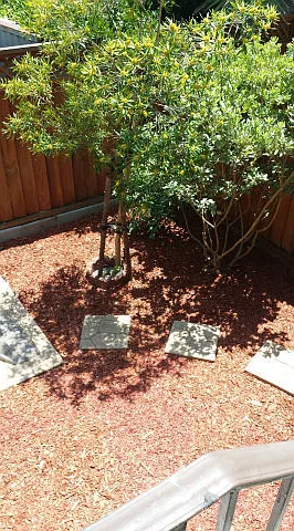 3 bed, 2.5 bath, 1300 sqft, $4,500 — Photo 2