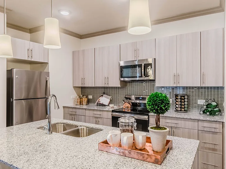 Atlas Point at Prestonwood, 55+ — Photo 14