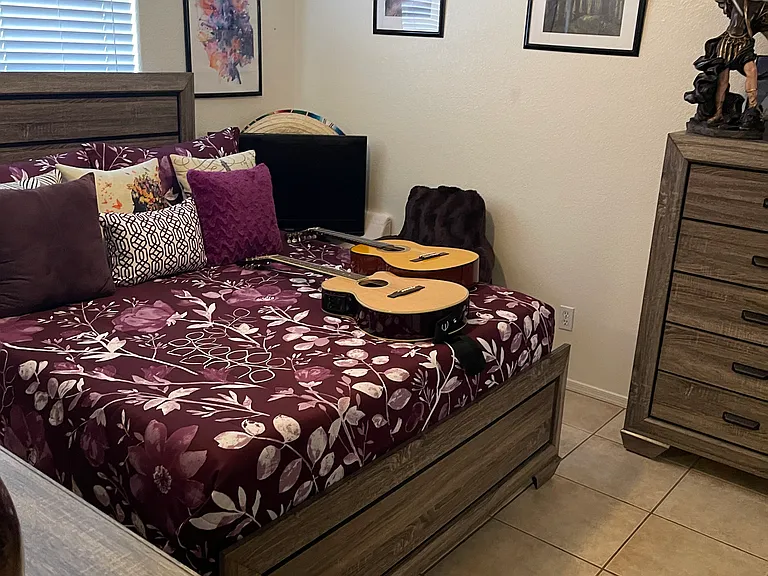 1542 N Placita Colonia De Oro — Photo 2