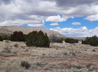 28755 W Calle Campo Rd, Seligman, AZ 86337