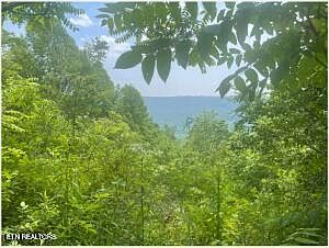 3rd image of Hatfield Creek Rd