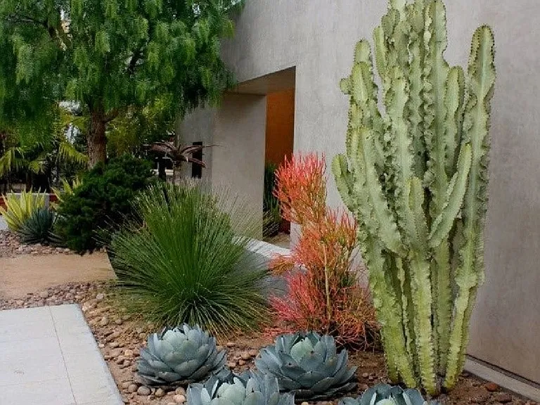 1140 E Curry Rd #B — Photo 11