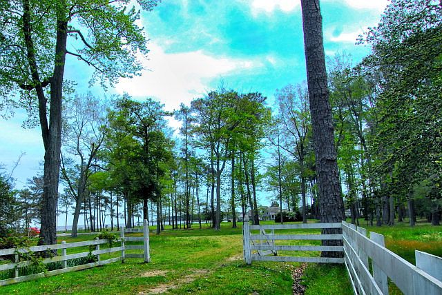 2nd image of 9827 Eastwind Rd