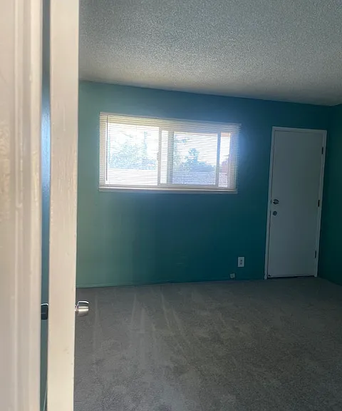 4305 Rilea Way #4 — Photo 13