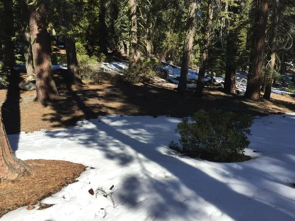 57955 Summit Drive, Ponderosa, CA 93265