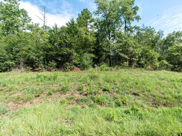 TRACT 7 Moser Ln, Whitehouse, TX 75791