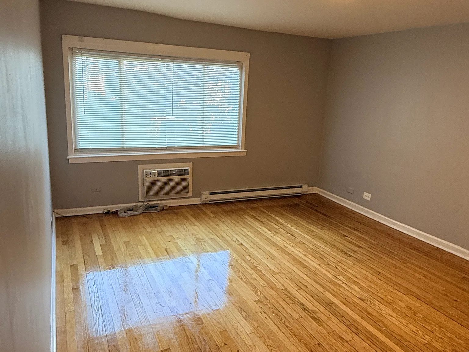 1 bed, 800 sqft, $1,175 — Photo 3