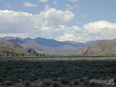 View up Trail Creek