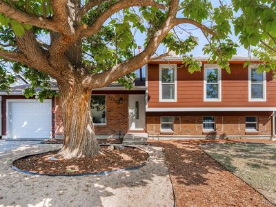 17769 E Iowa Drive, Aurora, CO, 80017