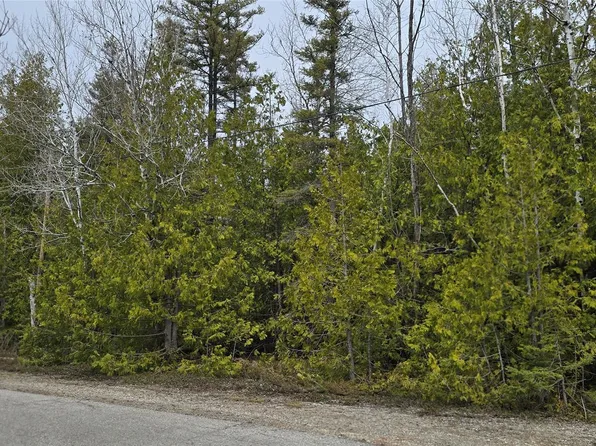 Balsam Dr Lot 332, Presque Isle, MI 49777