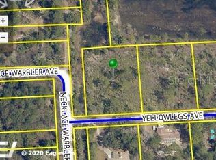 10331 Yellowlegs Ave, Brooksville, FL 34614