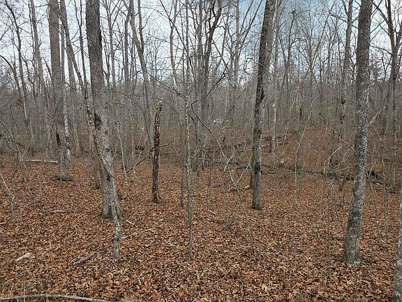 5th image of 14 Pond Rd