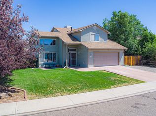 256 Sargent Cir, Fruita, CO 81521