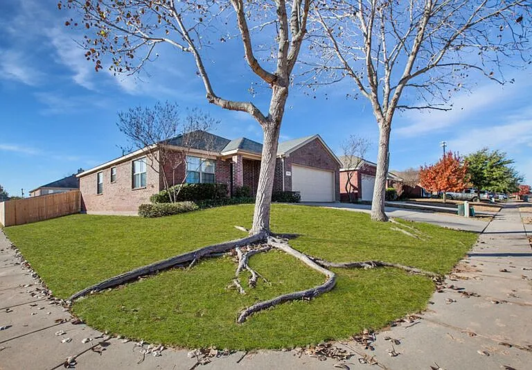 709 Alder Dr — Photo 37