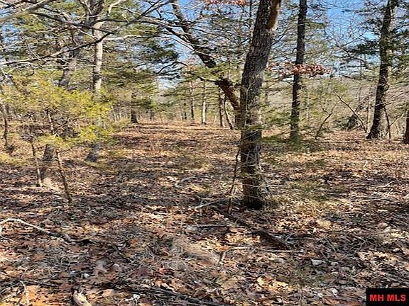 4th image of 1313 Zone Ridge Ln