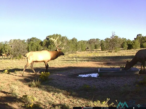 222 Chato Flat Rd, Ramah, NM 87321