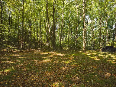 Property photo 56