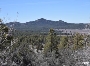 1663 Canyon View Loop #41, Williams, AZ 86046