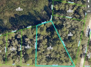 35135 Richardson Blvd, Webster, FL 33597