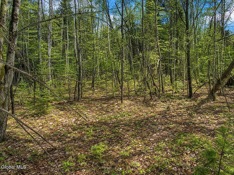 4th image of L86 Highview Lane Lot 2