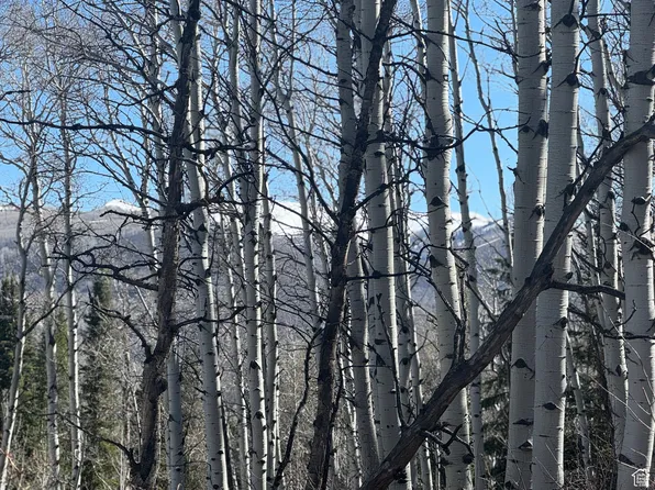 662 Red Fir Way, Oakley, UT 84055